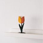 BLOSSOM Tulip Photo Holder