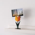 BLOSSOM Tulip Photo Holder