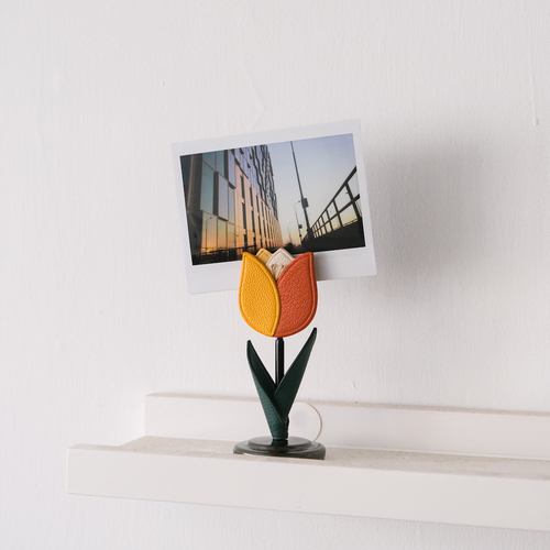 BLOSSOM Tulip Photo Holder