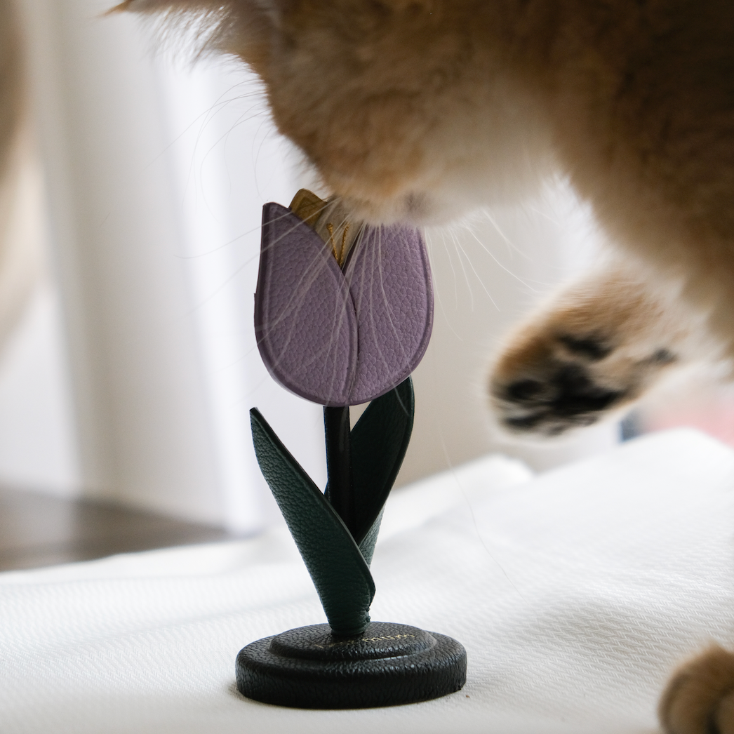 BLOSSOM Tulip Photo Holder