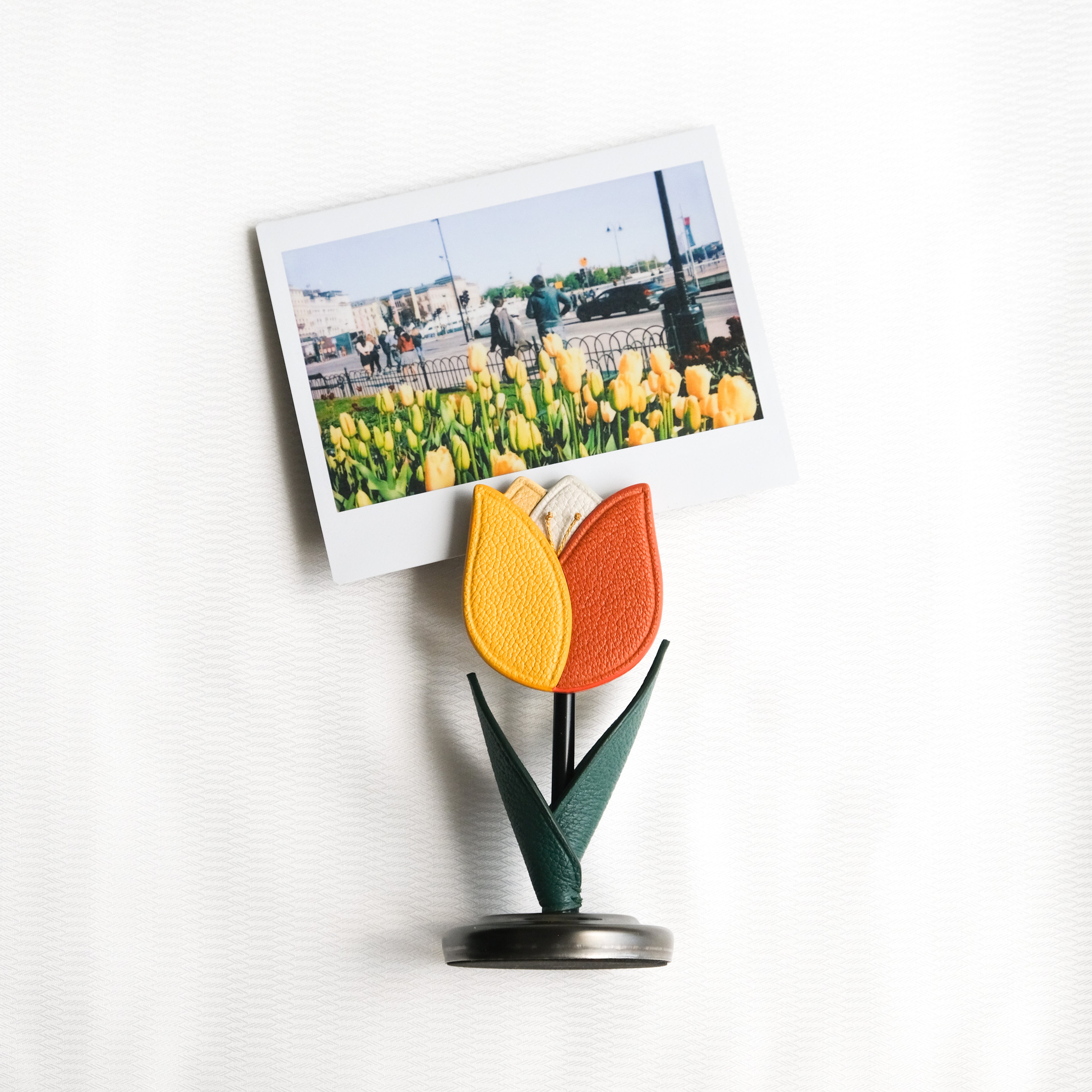 BLOSSOM Tulip Photo Holder