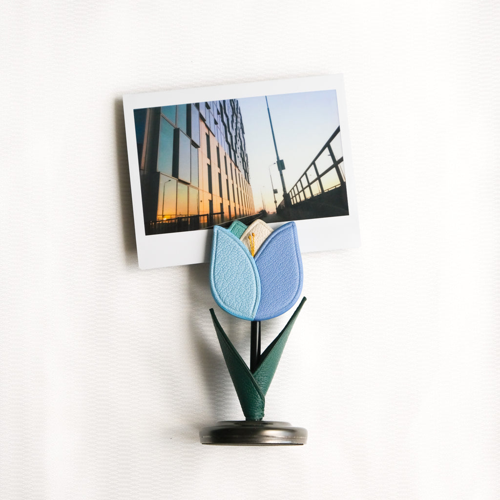 BLOSSOM Tulip Photo Holder