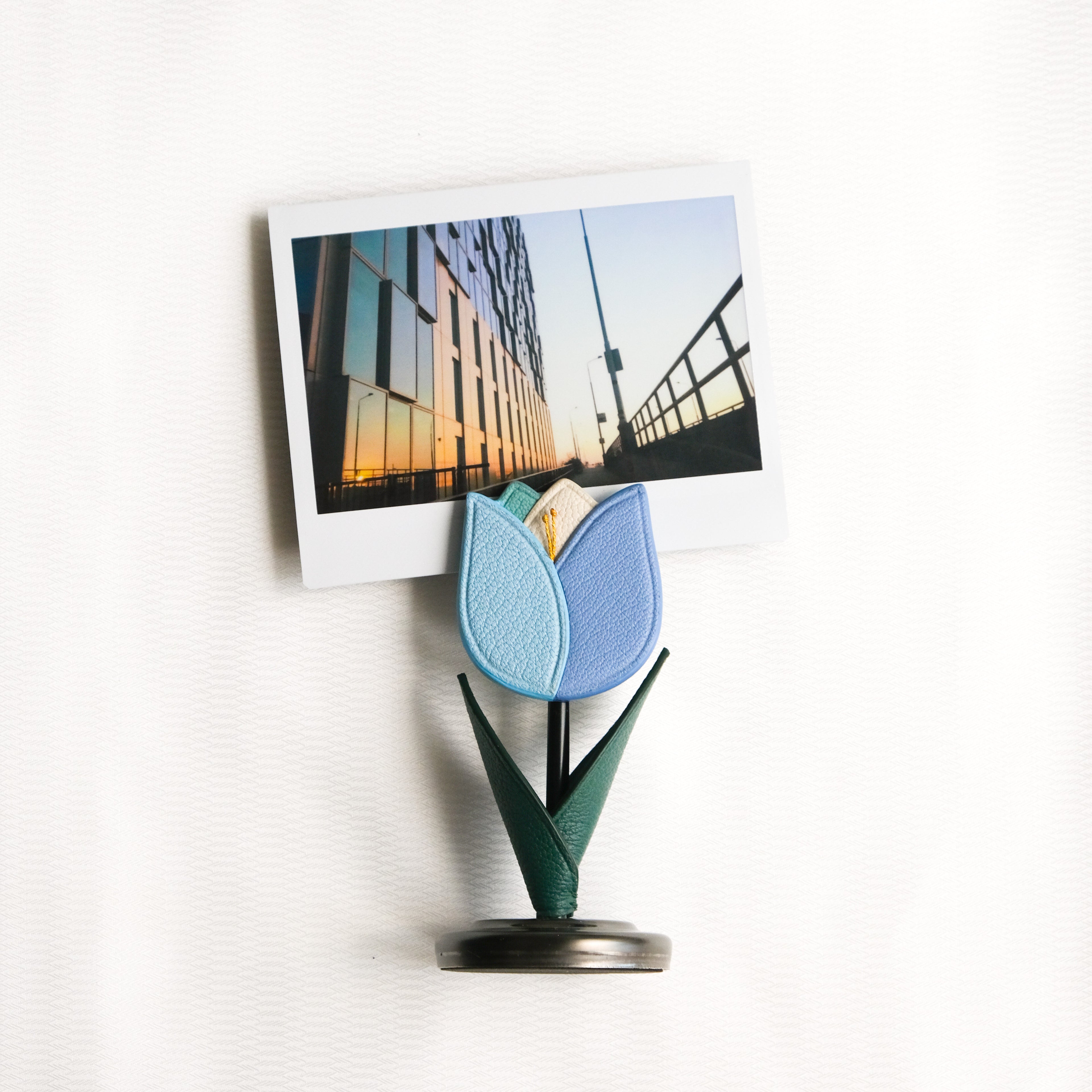 BLOSSOM Tulip Photo Holder