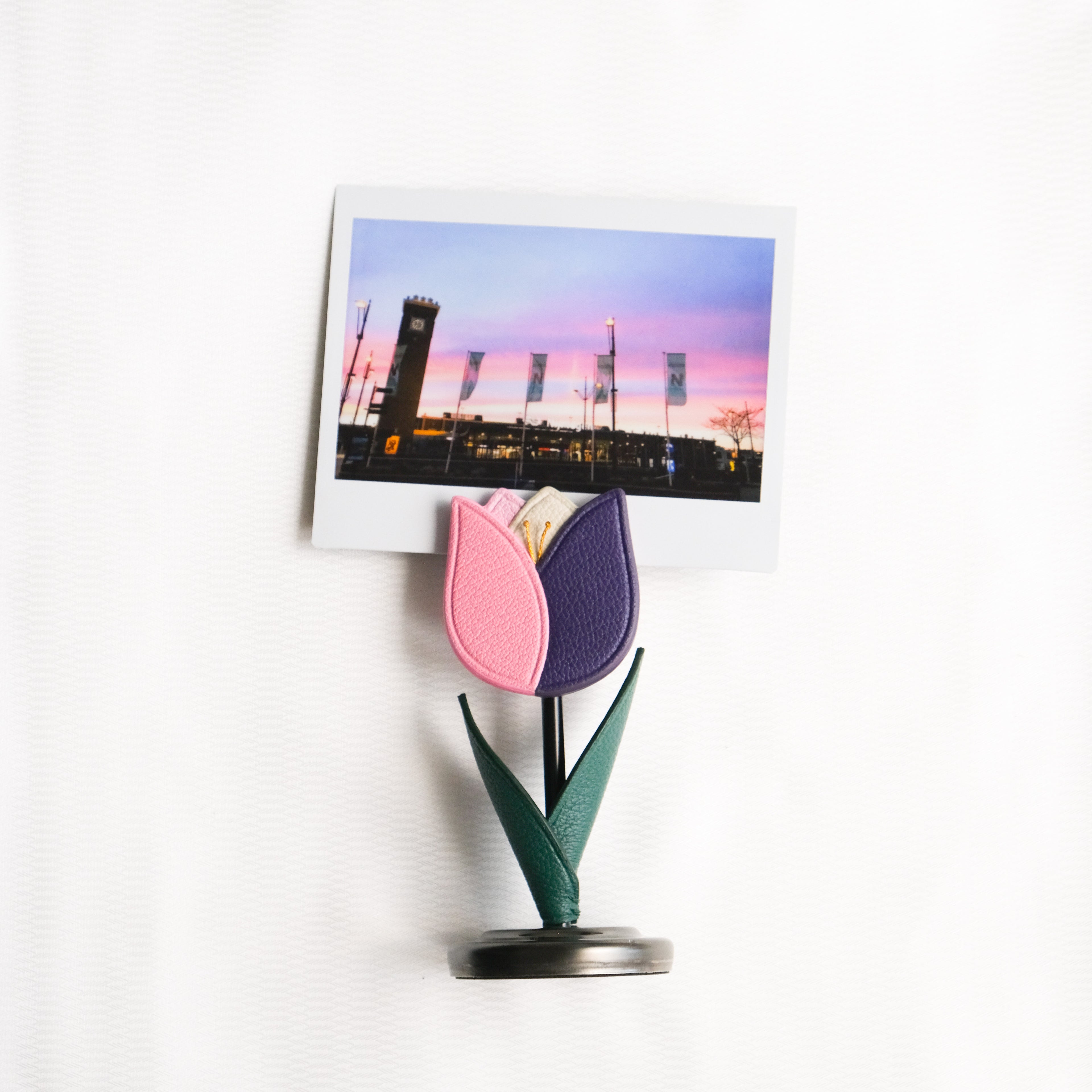 BLOSSOM Tulip Photo Holder