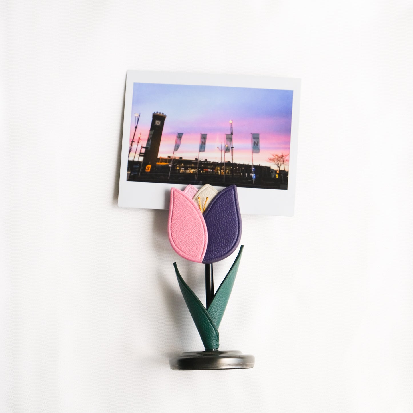 鬱金香造型相片夾【Rose】